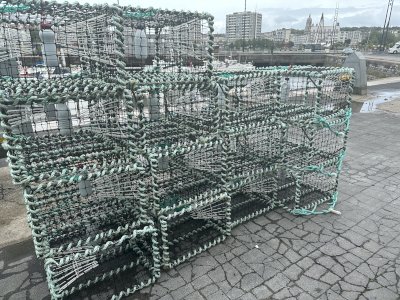 Casiers à seiches 