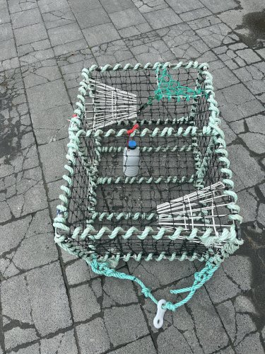 Casiers à seiches 