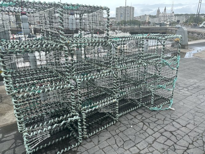 Casiers à seiches 