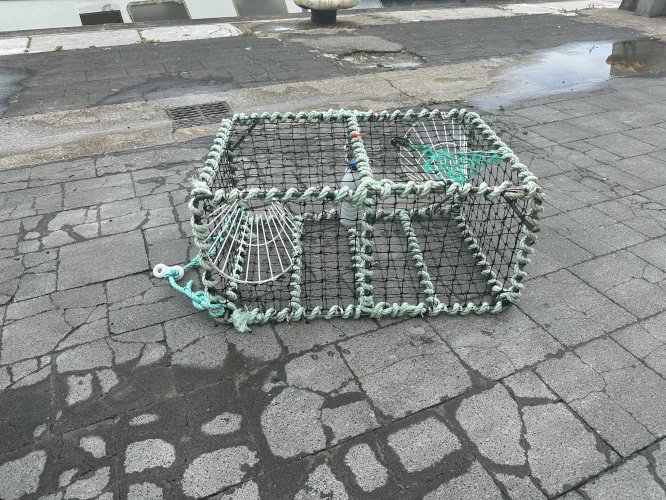 Casiers à seiches 