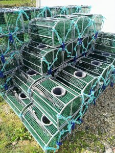 Octopus lockers and pots
