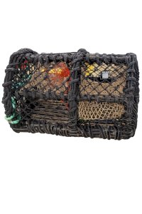 Octopus and lobster traps