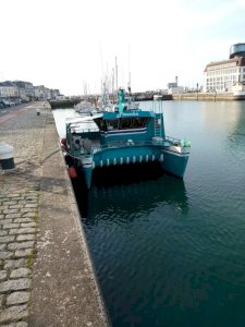 Catamaran caseyeur 