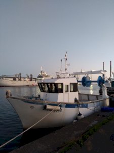 Chalutier 9m50