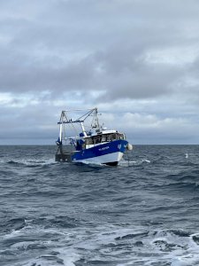 Chalutier coquillier fileyeur caseyeur sans licence