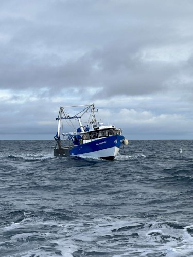 Chalutier coquillier fileyeur caseyeur sans licence