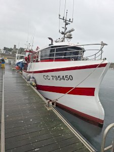 Chalutier coquillier 