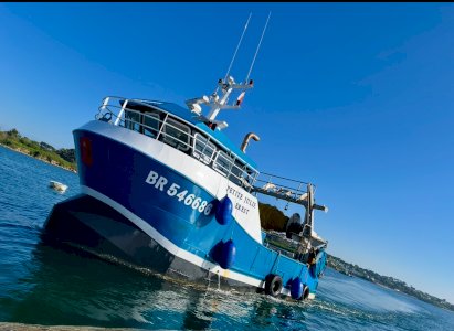 Shell trawler