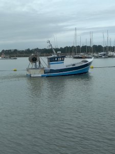 dot