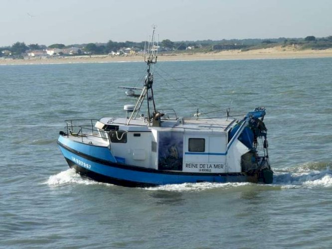 Chalutier polyvalent 1987. 10,97m /4,20m.2mTE