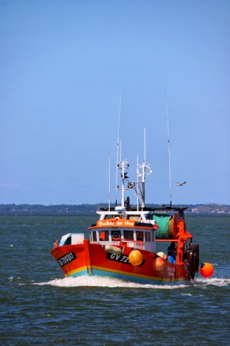 Chalutier 