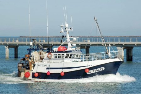 Trawler/shellfisher