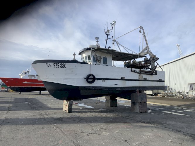 Coquillier polyvalent avec licence coquilles 