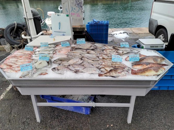 Divers matériel pêche et poissonnerie 
