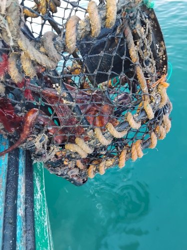 Divers matériel pêche et poissonnerie 