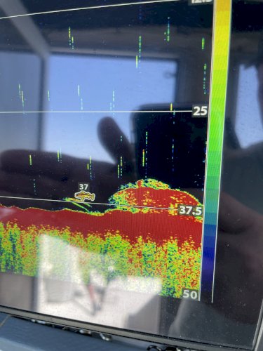 Esteou 630 pêche bien équipée 