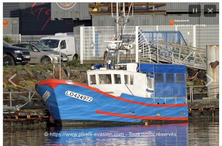 Filayeur /caseyeur 12m