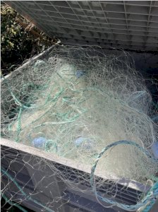 nets with legs, 50-55 mesh