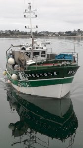 Netter 12m40
