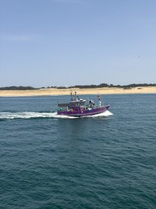 Fileyeur 9,11 par 4m