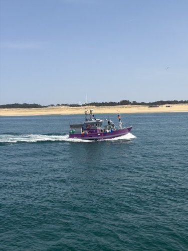 Fileyeur 9,11 par 4m