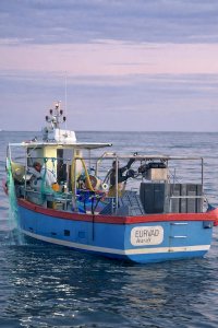 8-10m gillnetter/crabber