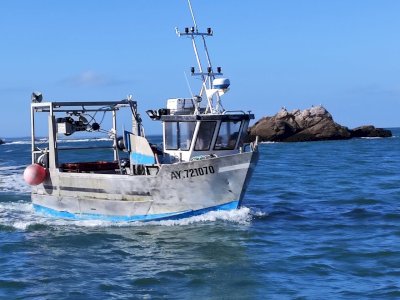 Small-scale gillnetter/crabber/boat license in Brittany