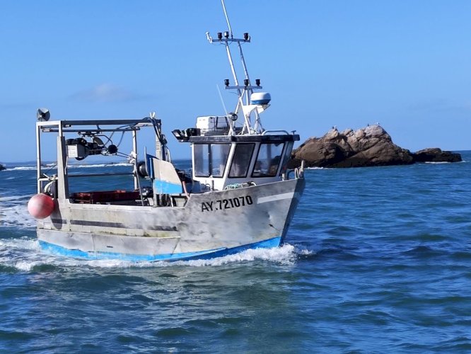 Fileyeur Caseyeur PME / licence canot Bretagne