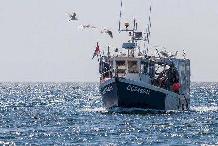 Fileyeur/caseyeur, bateau très polyvalent, pêche professionnelle.