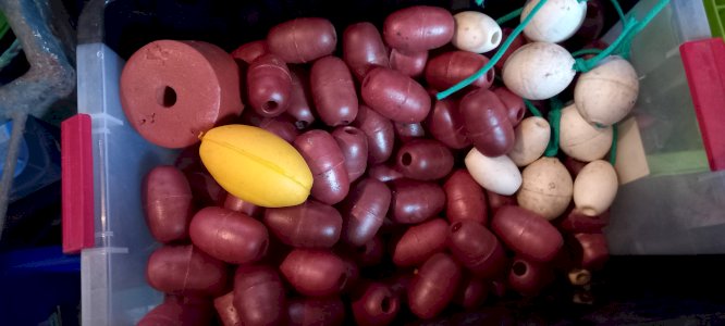 dot