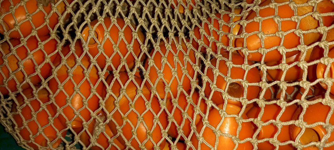 Important Vide Maison Matériel Pro Pêche