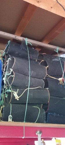 Important Vide Maison Matériel Pro Pêche