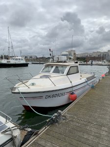 Ligneur esteou 730