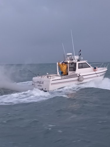 Ligneur esteou 730