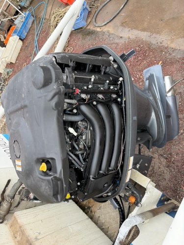 MOTEUR HORS BORD