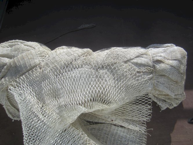 nappe de chalut semi-pelagique