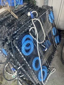 Conger eel traps with ropes, quantity 20