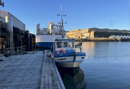 Navire à vendre