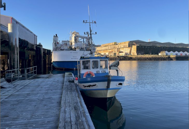 Navire à vendre
