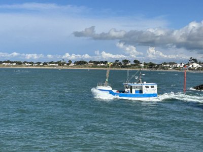 NAVIRE DE PECHE - LIGNEUR CASEYEUR