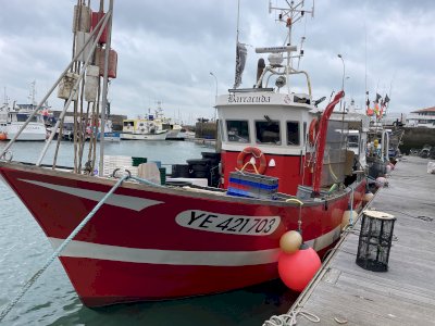 Navire de pêche polyvalent 
