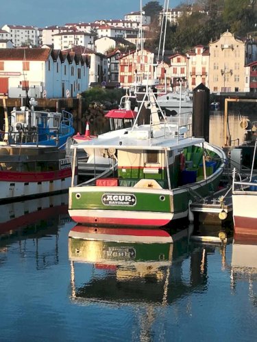 Palangrier polyvalent bois – 11,20 m – AEP Thon Rouge + licences Algues & Crustacés – Entièrement équipé Furuno – Prêt à pêcher