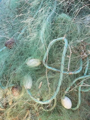 Rallingue flottante flotteurs filets