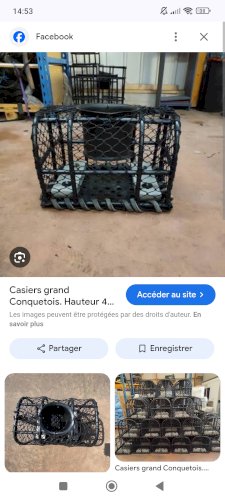 Recherche casiers grands conquetois 