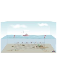 Recherche filets droits et peche tout