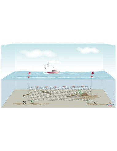 Recherche filets droits et peche tout