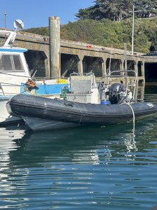 SRMN600 professionnel 