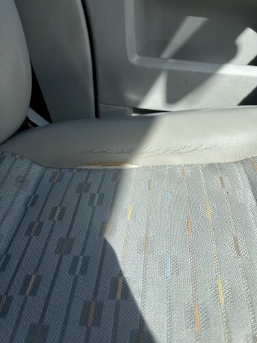 Transporteur t5 plastifié 