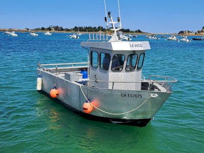 6.50m aluminum speedboat
