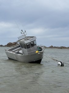 Vedette alu 6,50m